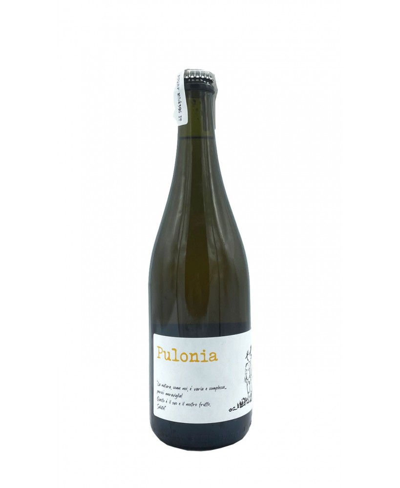 Pulonia Emilia Bianco Frizzante Igp 2021 Angol d'Amig