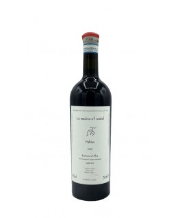 Barbera d'Alba Superiore doc Palma 2019 Azienda Agricola Fabio Gea