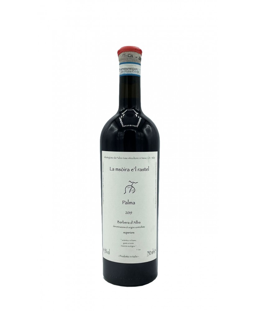 Barbera d'Alba Superiore doc Palma 2019 Azienda Agricola Fabio Gea