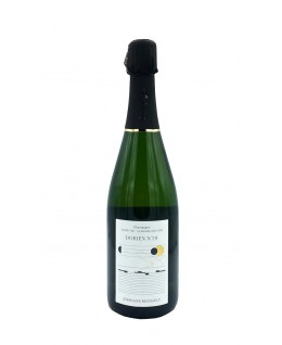 

                            
                                Champagne Dorien No. 29 Grand Cru Blanc de Blancs Extra Brut aoc Stephane Regnault

                            