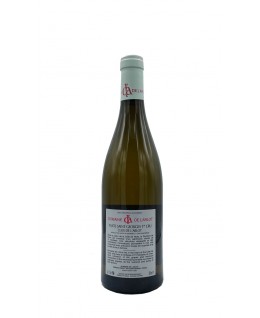 Nuits St Georges 1er Cru Clos de l'Arlot Monopole Blanc aoc 2021 Domaine de l'Arlot