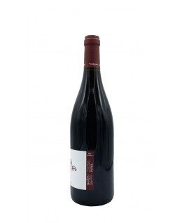 Bourgogne Pinot Noir aoc 2021 Sarnin Berrux