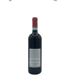 Barbera d'Alba doc 2021 Cappellano