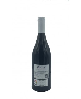 Valtuille Vino de Villa 2022 Do Bierzo Castro Ventosa