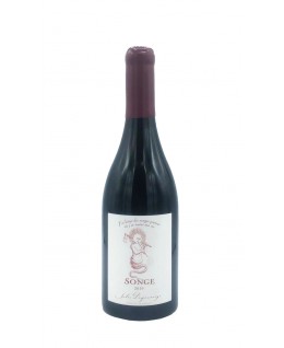 

                            
                                Songe Pinot Noir Vin de France aoc 2019 Domaine Jules Desjourneys

                            
