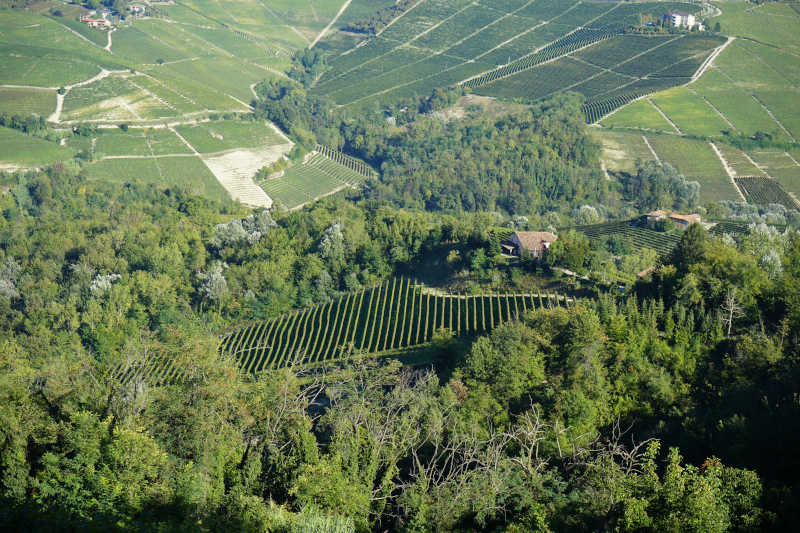 Panoramica Colline Langhe